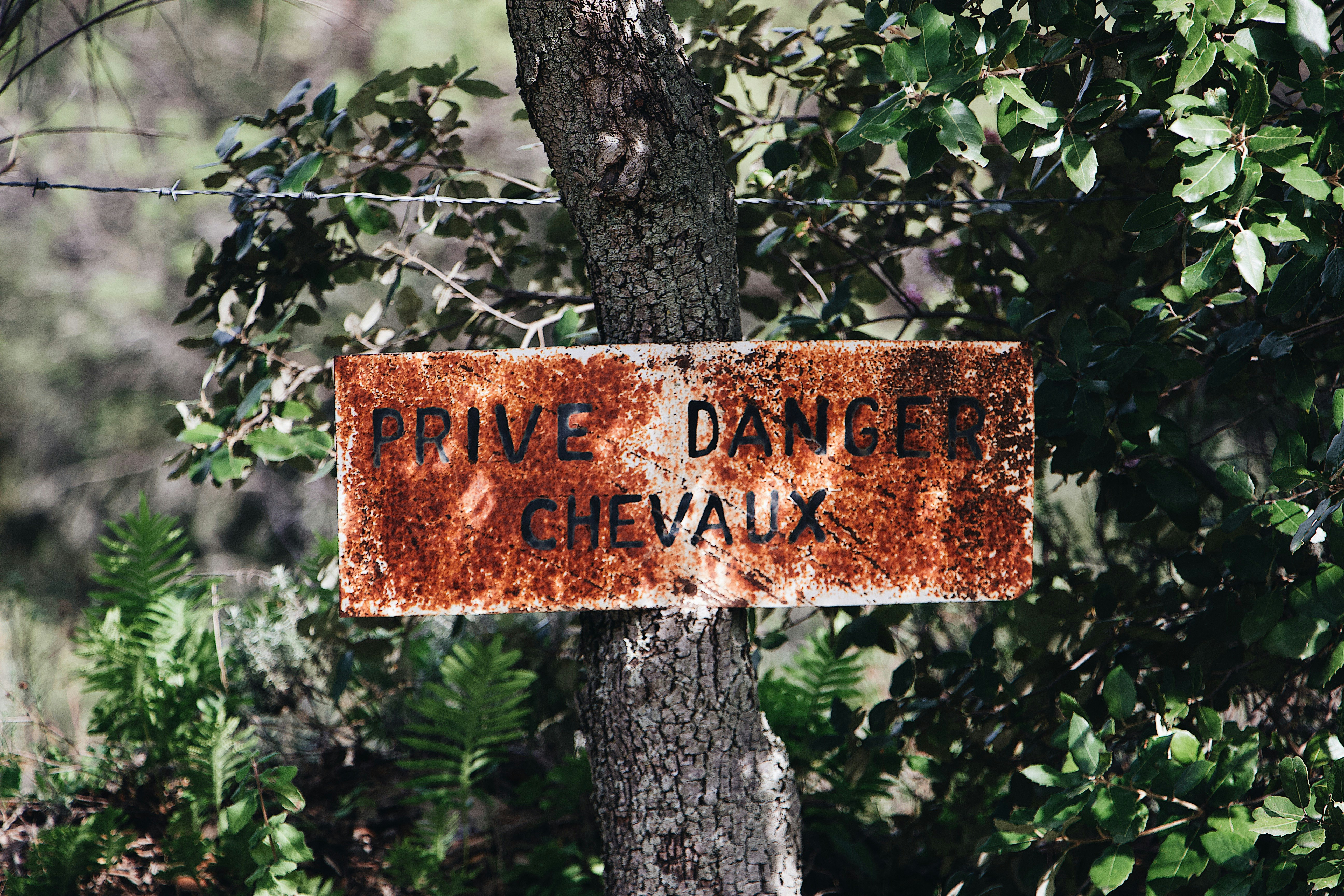 shallow focus photo of brown signage